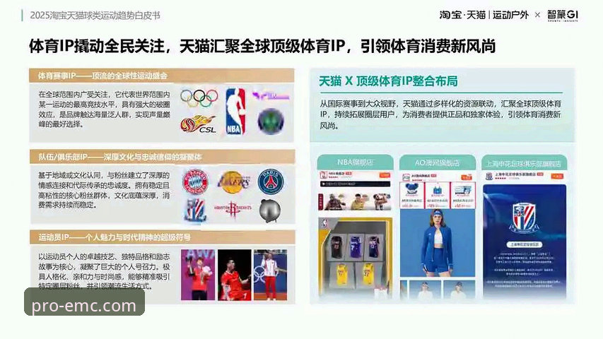 资深体育爱好者深度解析：易倍体育平台官网的体验与未来趋势